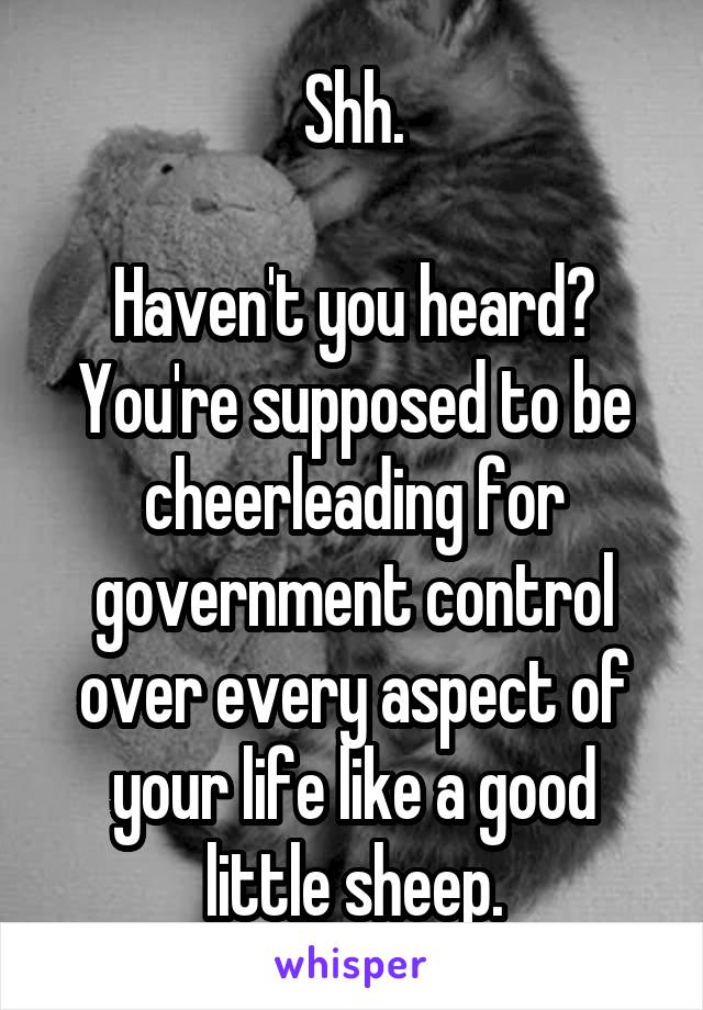 Shh.

Haven't you heard? You're supposed to be cheerleading for government control over every aspect of your life like a good little sheep.