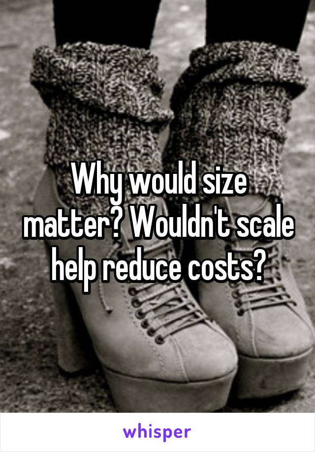 Why would size matter? Wouldn't scale help reduce costs?