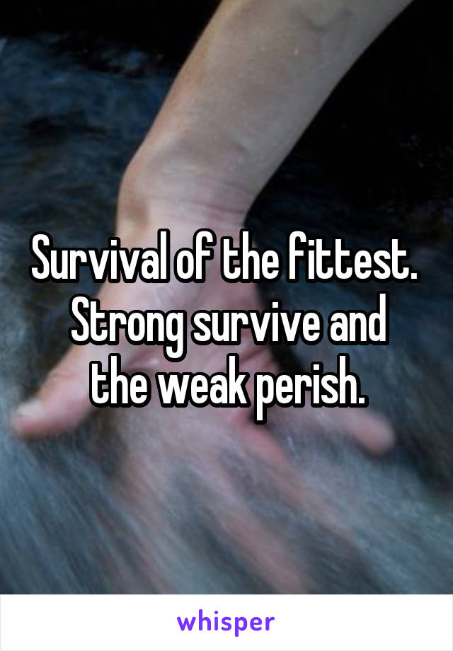 Survival of the fittest. 
Strong survive and the weak perish.