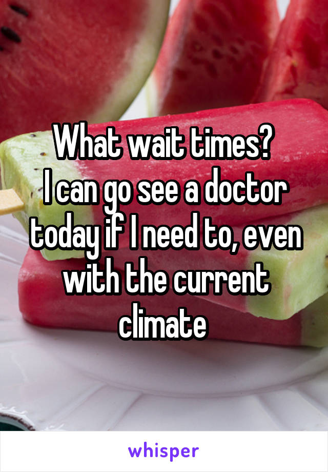 What wait times? 
I can go see a doctor today if I need to, even with the current climate 