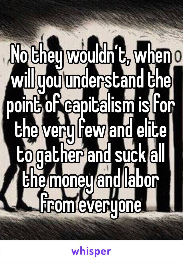 No they wouldn’t, when will you understand the point of capitalism is for the very few and elite to gather and suck all the money and labor from everyone 