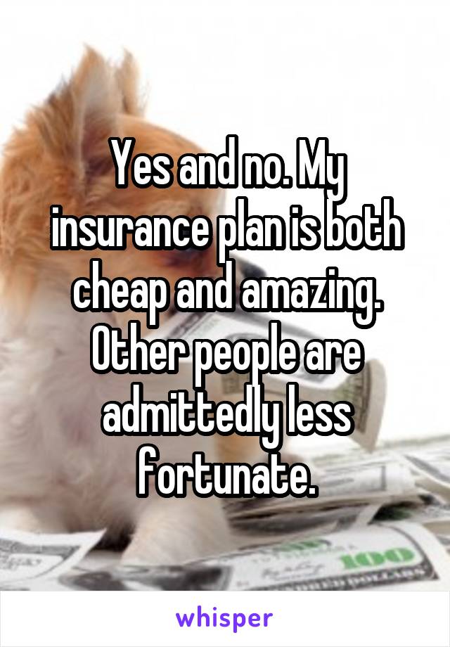 Yes and no. My insurance plan is both cheap and amazing. Other people are admittedly less fortunate.