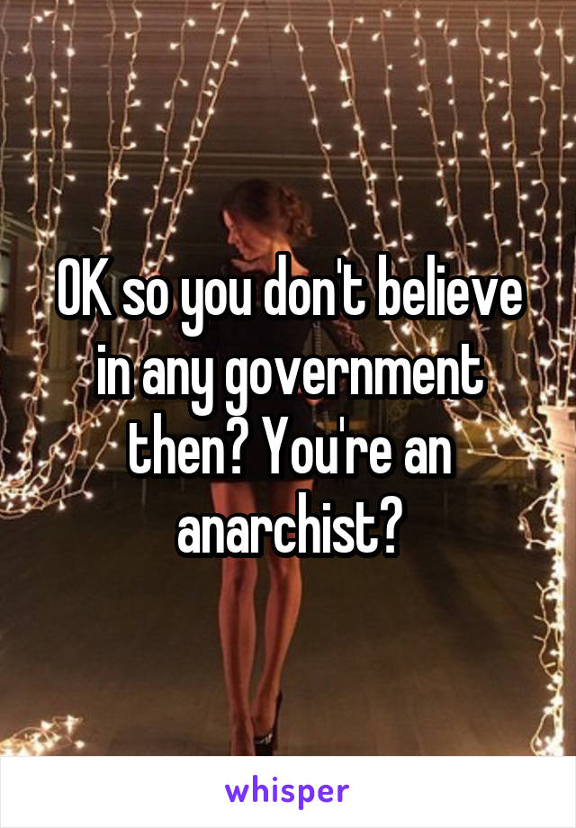 OK so you don't believe in any government then? You're an anarchist?