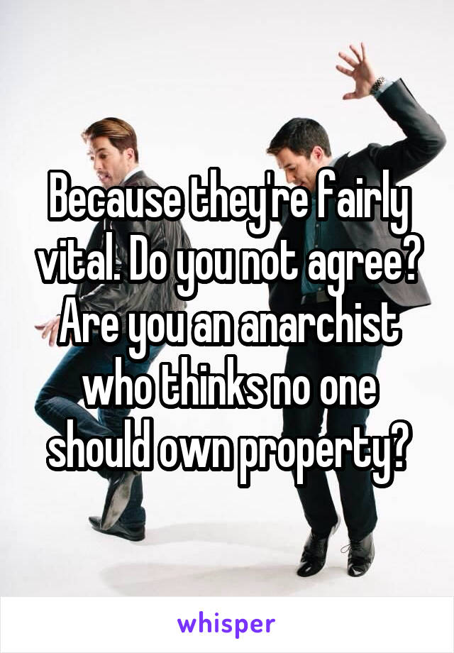 Because they're fairly vital. Do you not agree? Are you an anarchist who thinks no one should own property?