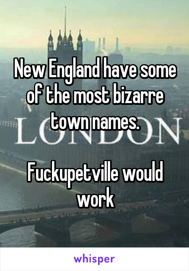 New England have some of the most bizarre town names.

Fuckupetville would work