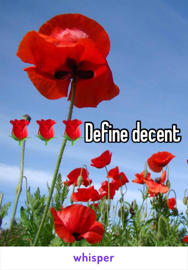 🌹🌹🌹Define decent 