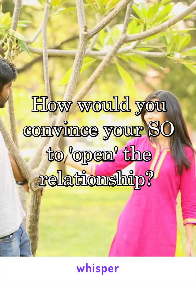 How would you convince your SO to 'open' the relationship? 