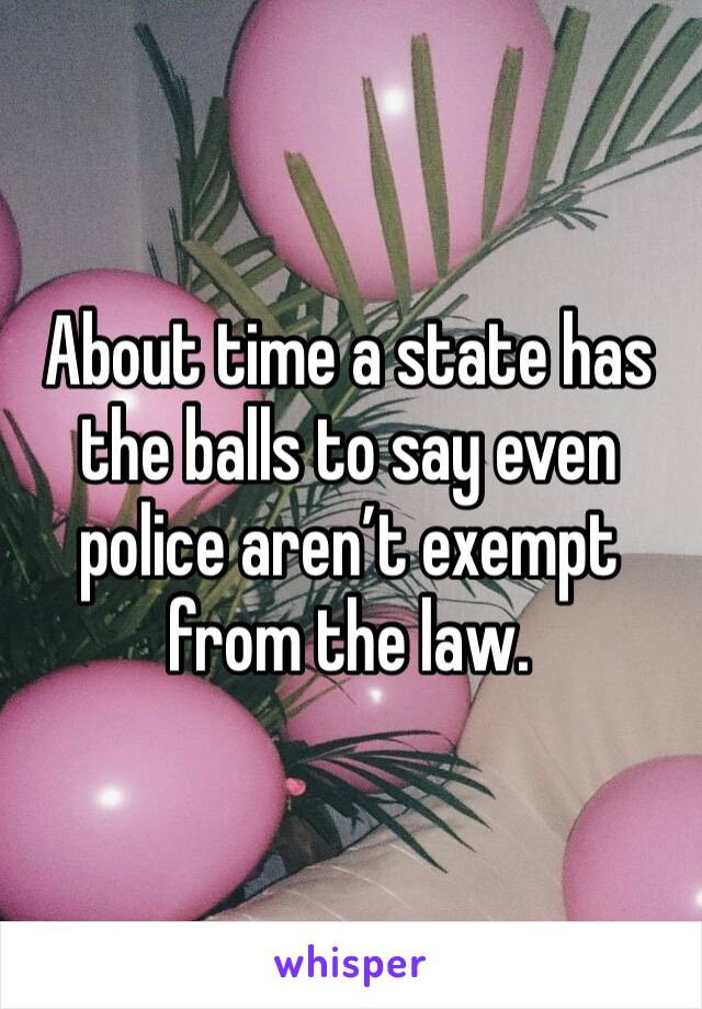 About time a state has the balls to say even police aren’t exempt from the law. 