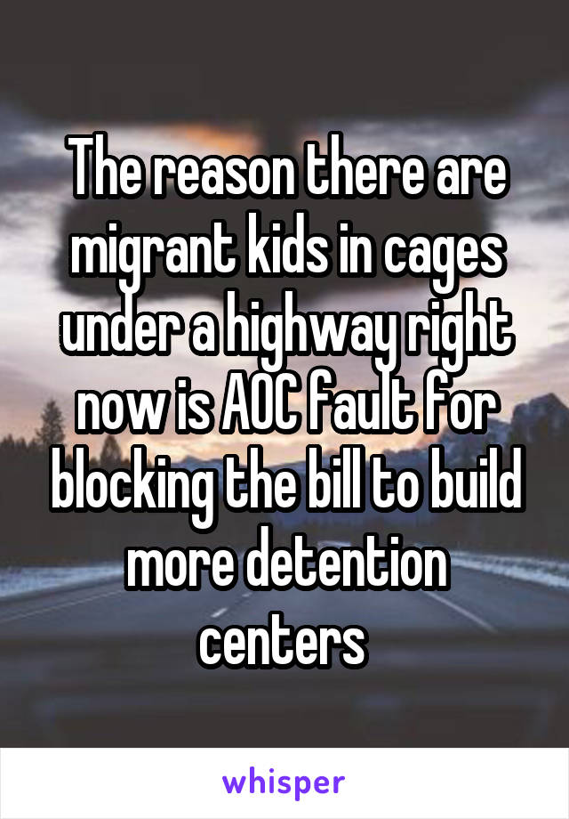 The reason there are migrant kids in cages under a highway right now is AOC fault for blocking the bill to build more detention centers 