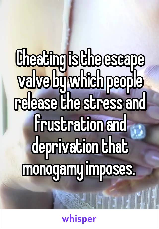 Cheating is the escape valve by which people release the stress and frustration and deprivation that monogamy imposes. 