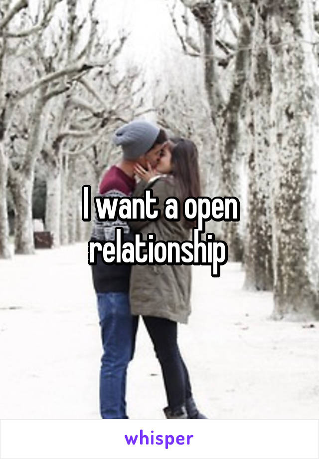 I want a open relationship 