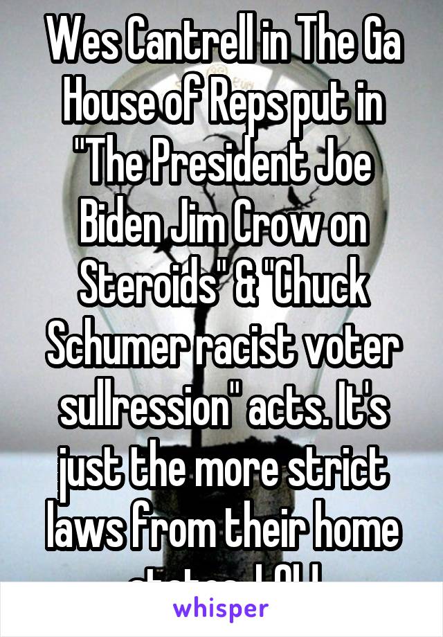 Wes Cantrell in The Ga House of Reps put in "The President Joe Biden Jim Crow on Steroids" & "Chuck Schumer racist voter sullression" acts. It's just the more strict laws from their home states. LOL!