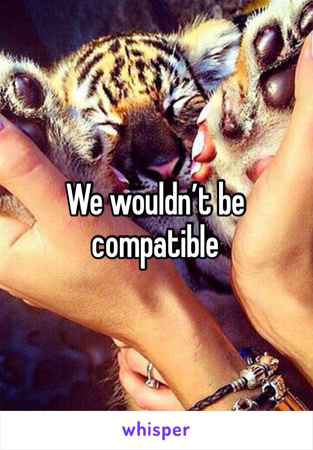 We wouldn’t be compatible 