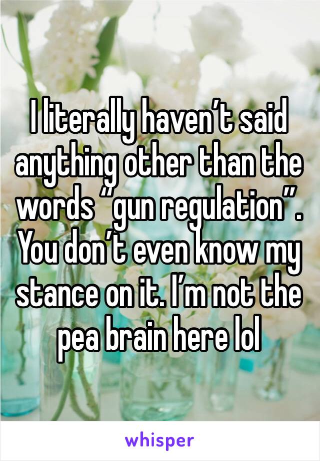 I literally haven’t said anything other than the words “gun regulation”. You don’t even know my stance on it. I’m not the pea brain here lol 