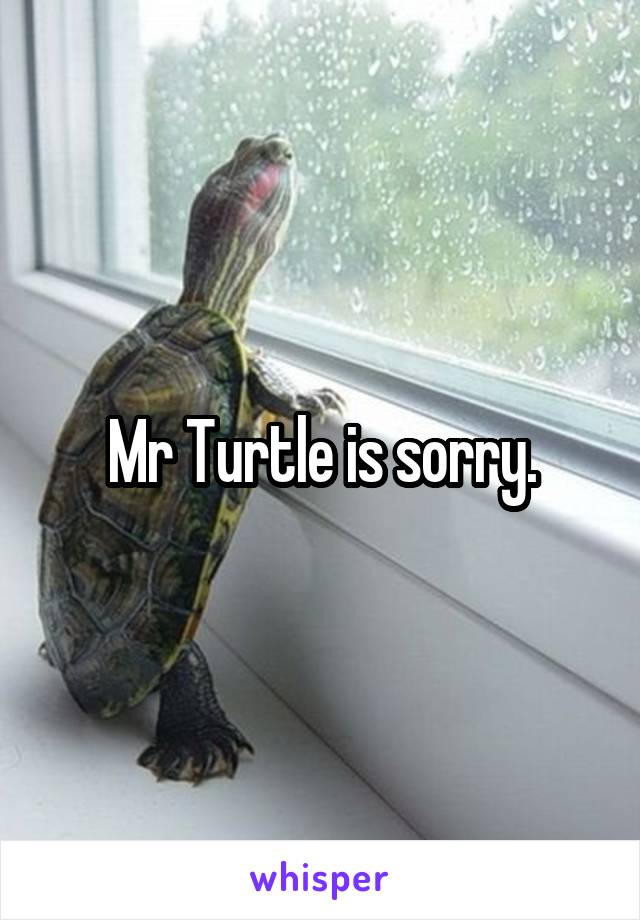 Mr Turtle is sorry.