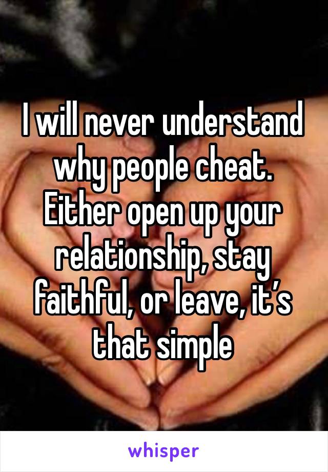 I will never understand why people cheat.
Either open up your relationship, stay faithful, or leave, it’s that simple