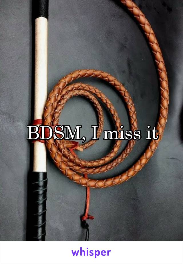 BDSM, I miss it