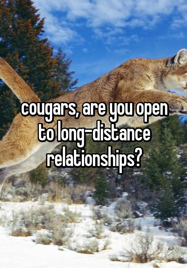 cougars, are you open to long-distance relationships?