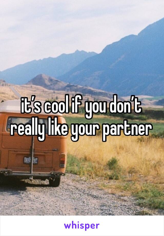 it’s cool if you don’t really like your partner 