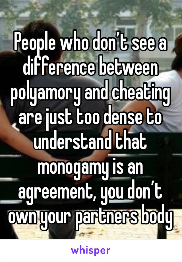 People who don’t see a difference between polyamory and cheating are just too dense to understand that monogamy is an agreement, you don’t own your partners body