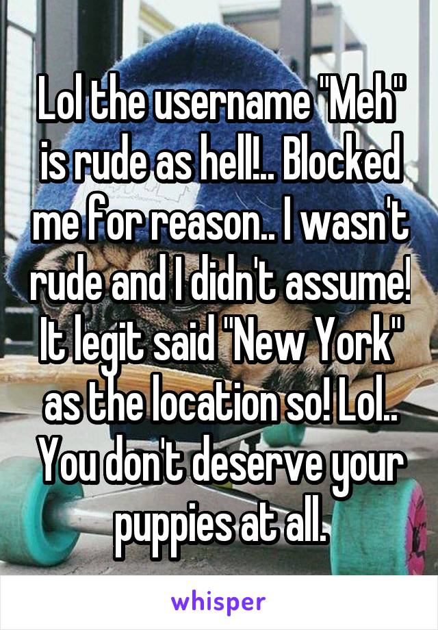 Lol the username "Meh" is rude as hell!.. Blocked me for reason.. I wasn't rude and I didn't assume! It legit said "New York" as the location so! Lol.. You don't deserve your puppies at all.