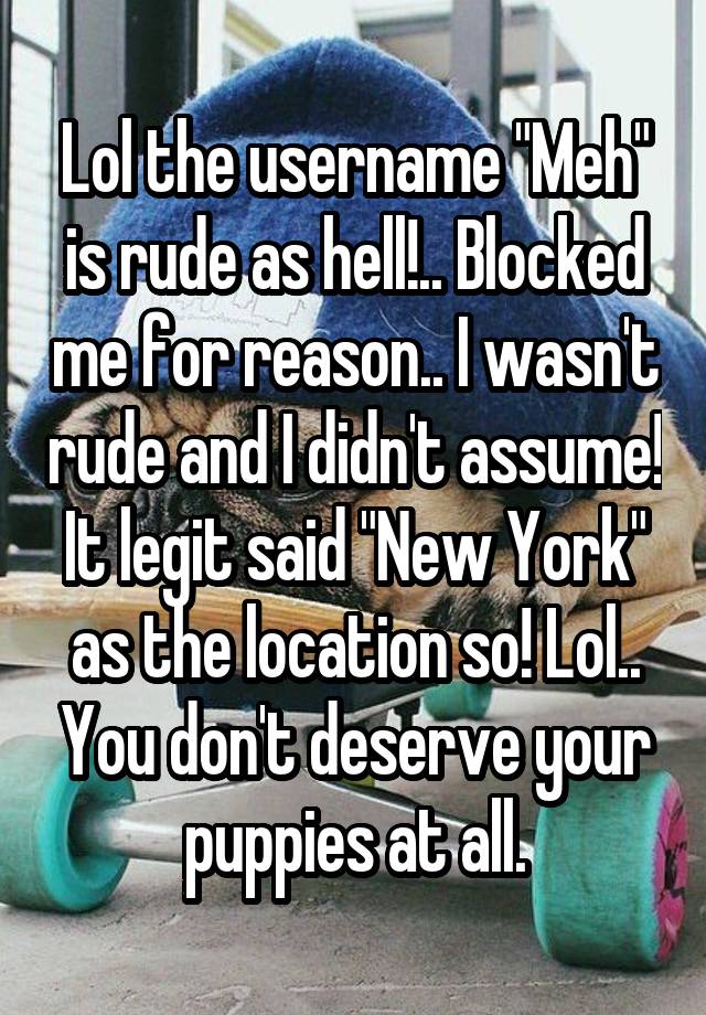 Lol the username "Meh" is rude as hell!.. Blocked me for reason.. I wasn't rude and I didn't assume! It legit said "New York" as the location so! Lol.. You don't deserve your puppies at all.