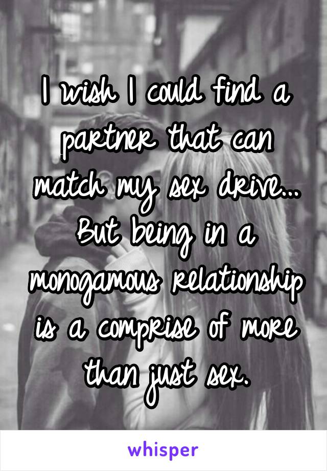 I wish I could find a partner that can match my sex drive...
But being in a monogamous relationship is a comprise of more than just sex.