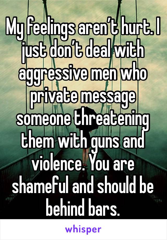 My feelings aren’t hurt. I just don’t deal with aggressive men who private message someone threatening them with guns and violence. You are shameful and should be behind bars. 