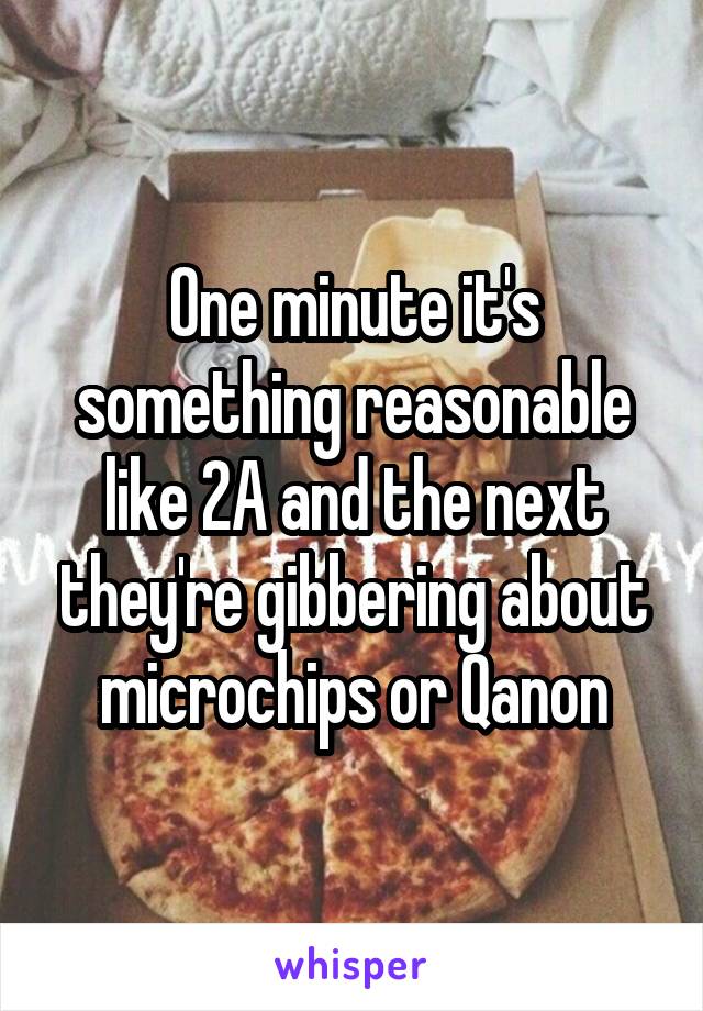 One minute it's something reasonable like 2A and the next they're gibbering about microchips or Qanon