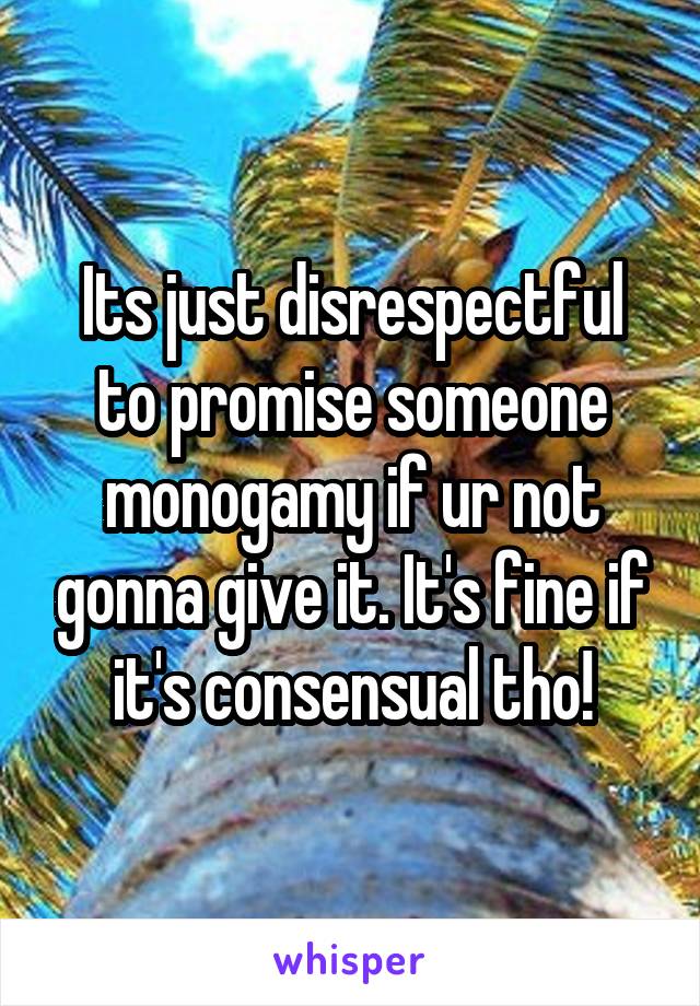 Its just disrespectful to promise someone monogamy if ur not gonna give it. It's fine if it's consensual tho!