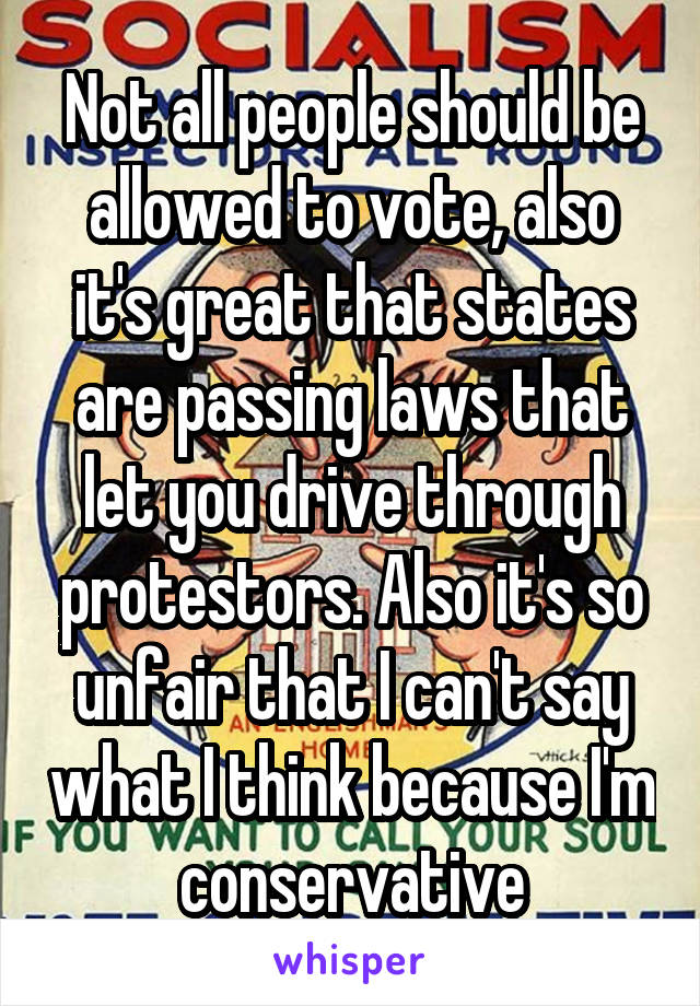 Not all people should be allowed to vote, also it's great that states are passing laws that let you drive through protestors. Also it's so unfair that I can't say what I think because I'm conservative