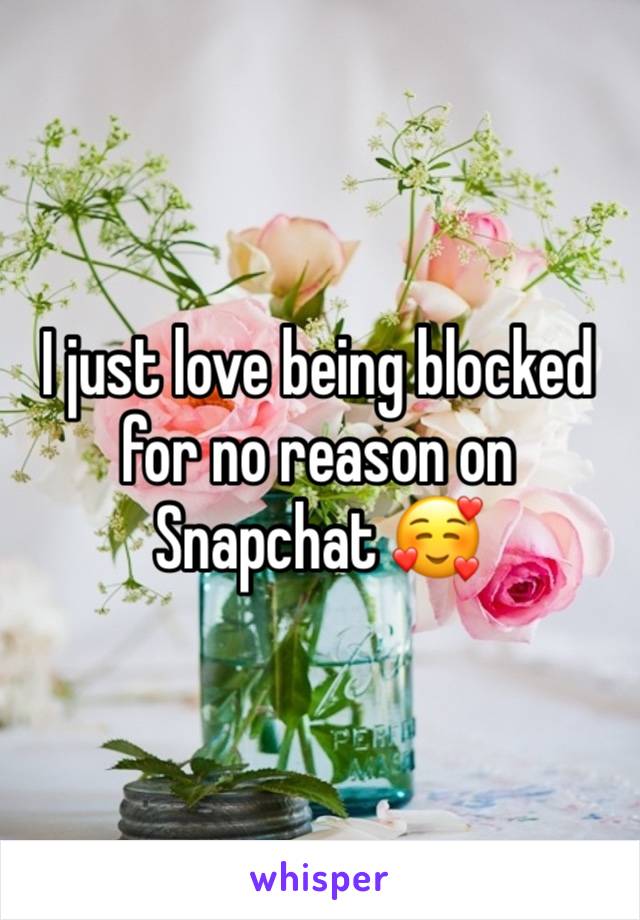 I just love being blocked for no reason on Snapchat 🥰