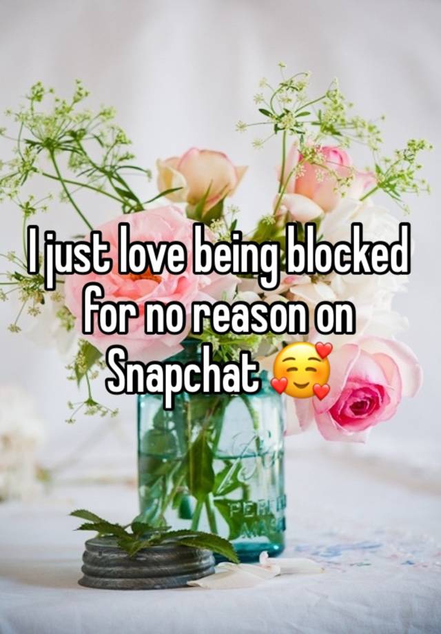 I just love being blocked for no reason on Snapchat 🥰