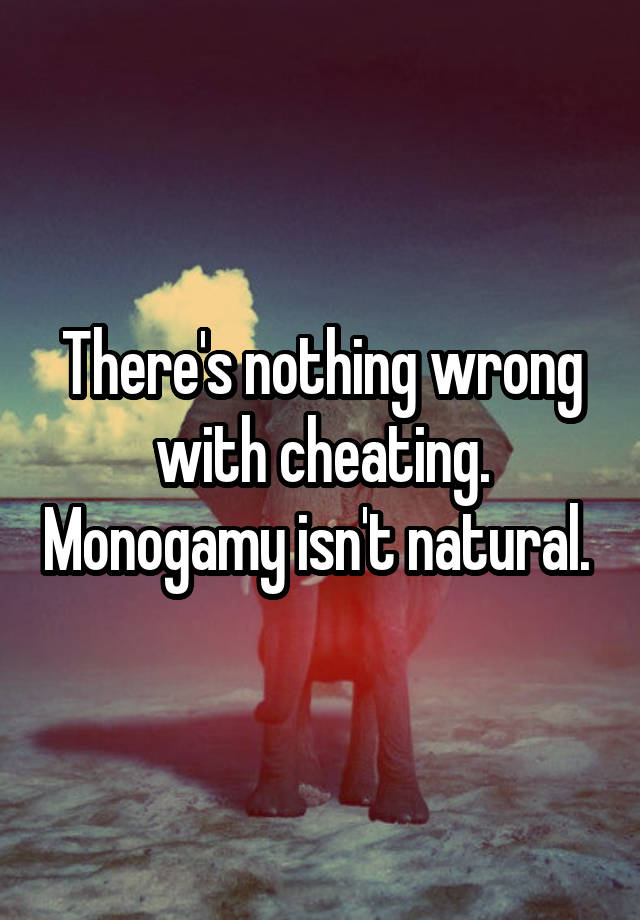 There's nothing wrong with cheating. Monogamy isn't natural. 