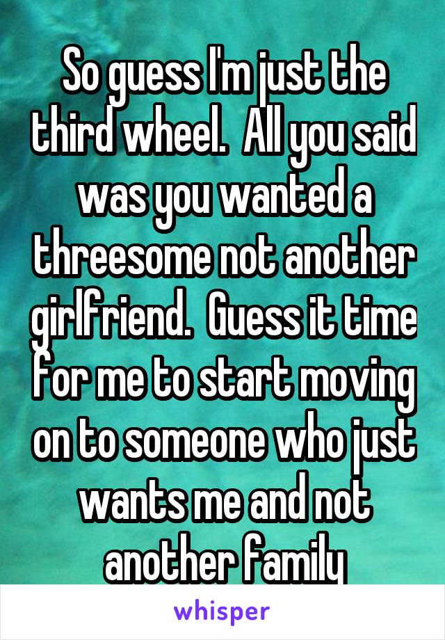 So guess I'm just the third wheel.  All you said was you wanted a threesome not another girlfriend.  Guess it time for me to start moving on to someone who just wants me and not another family