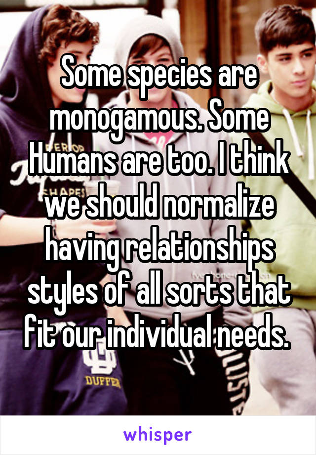 Some species are monogamous. Some Humans are too. I think we should normalize having relationships styles of all sorts that fit our individual needs. 
