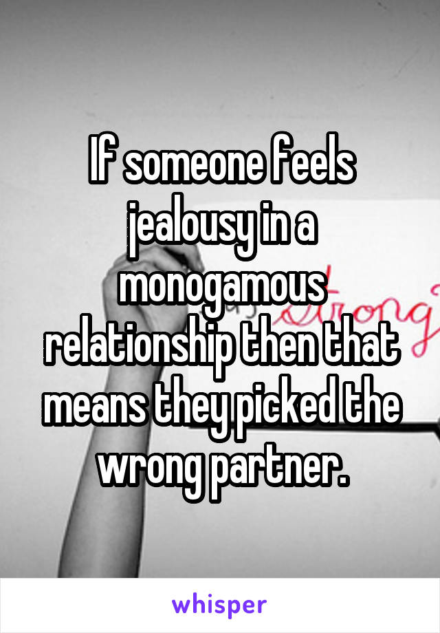 If someone feels jealousy in a monogamous relationship then that means they picked the wrong partner.