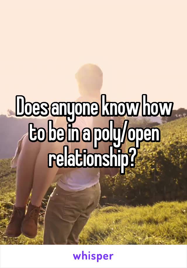 Does anyone know how to be in a poly/open relationship? 