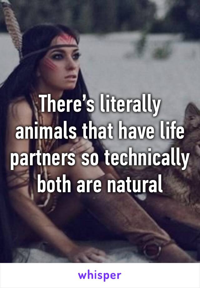 There’s literally animals that have life partners so technically both are natural