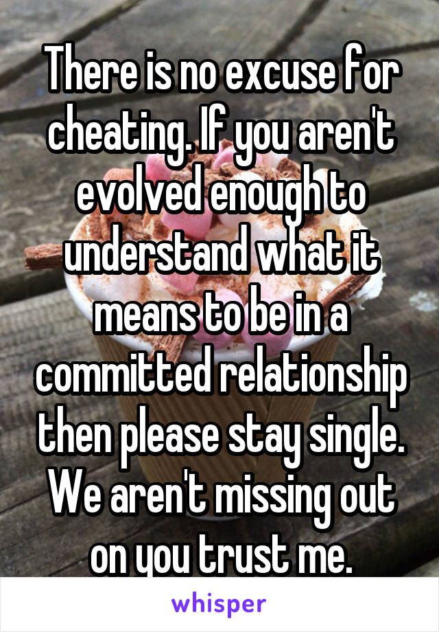 There is no excuse for cheating. If you aren't evolved enough to understand what it means to be in a committed relationship then please stay single. We aren't missing out on you trust me.