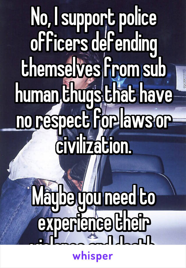 No, I support police officers defending themselves from sub human thugs that have no respect for laws or civilization.

Maybe you need to experience their violence and death.