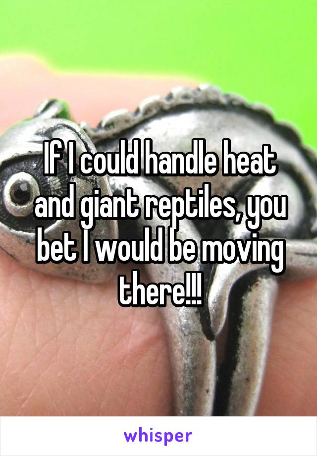 If I could handle heat and giant reptiles, you bet I would be moving there!!!