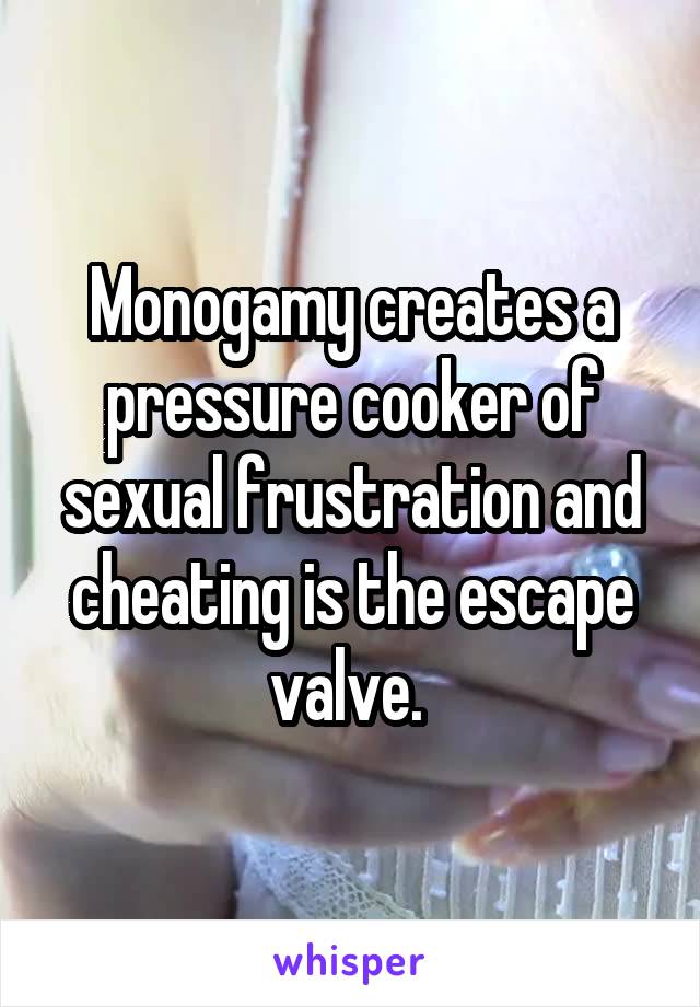 Monogamy creates a pressure cooker of sexual frustration and cheating is the escape valve. 