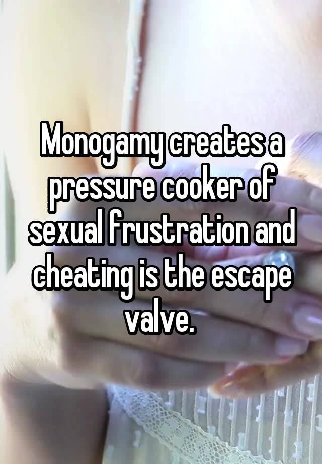 Monogamy creates a pressure cooker of sexual frustration and cheating is the escape valve. 