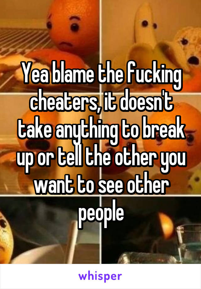 Yea blame the fucking cheaters, it doesn't take anything to break up or tell the other you want to see other people