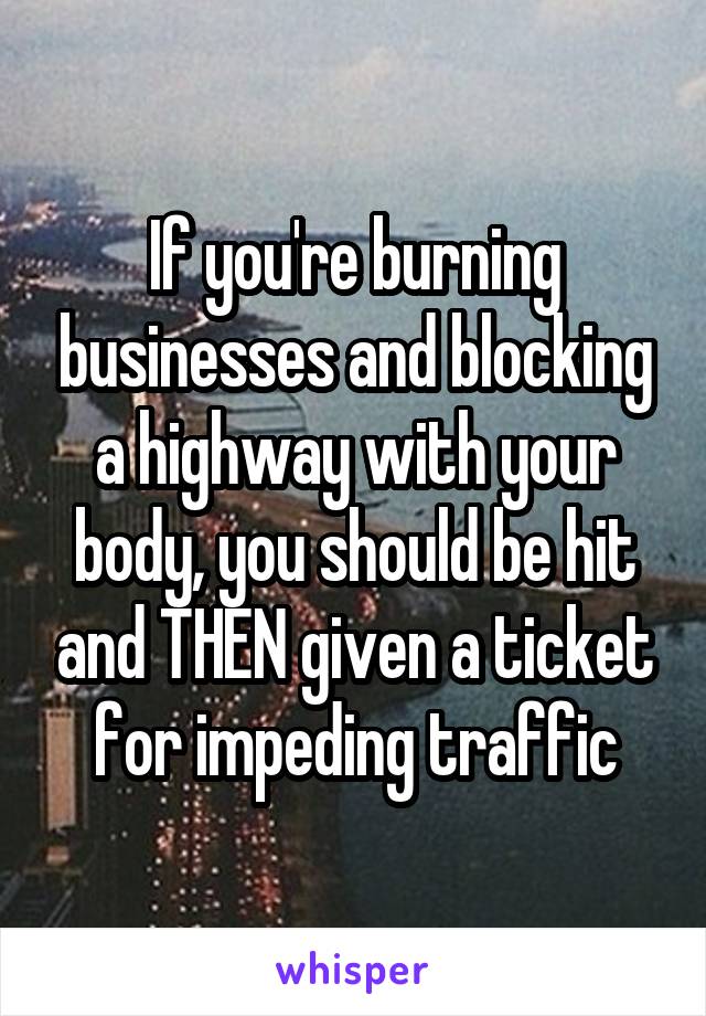 If you're burning businesses and blocking a highway with your body, you should be hit and THEN given a ticket for impeding traffic