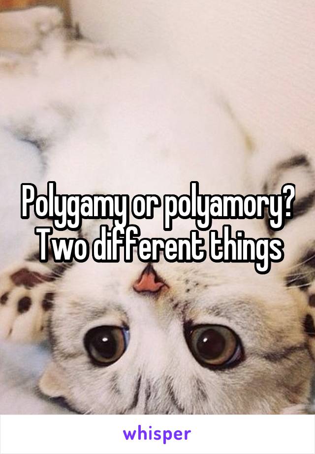 Polygamy or polyamory? Two different things