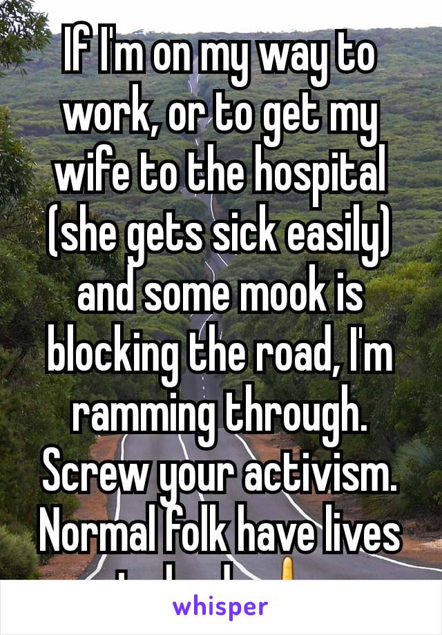 If I'm on my way to work, or to get my wife to the hospital (she gets sick easily) and some mook is blocking the road, I'm ramming through. Screw your activism. Normal folk have lives to lead. 🖕