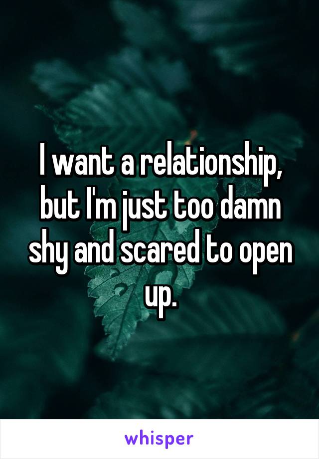 I want a relationship, but I'm just too damn shy and scared to open up.