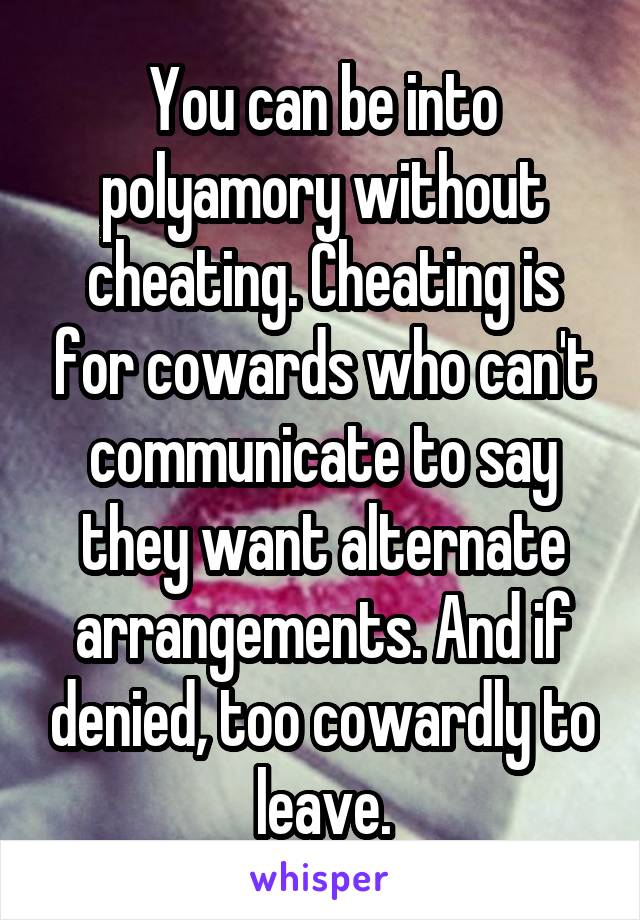 You can be into polyamory without cheating. Cheating is for cowards who can't communicate to say they want alternate arrangements. And if denied, too cowardly to leave.